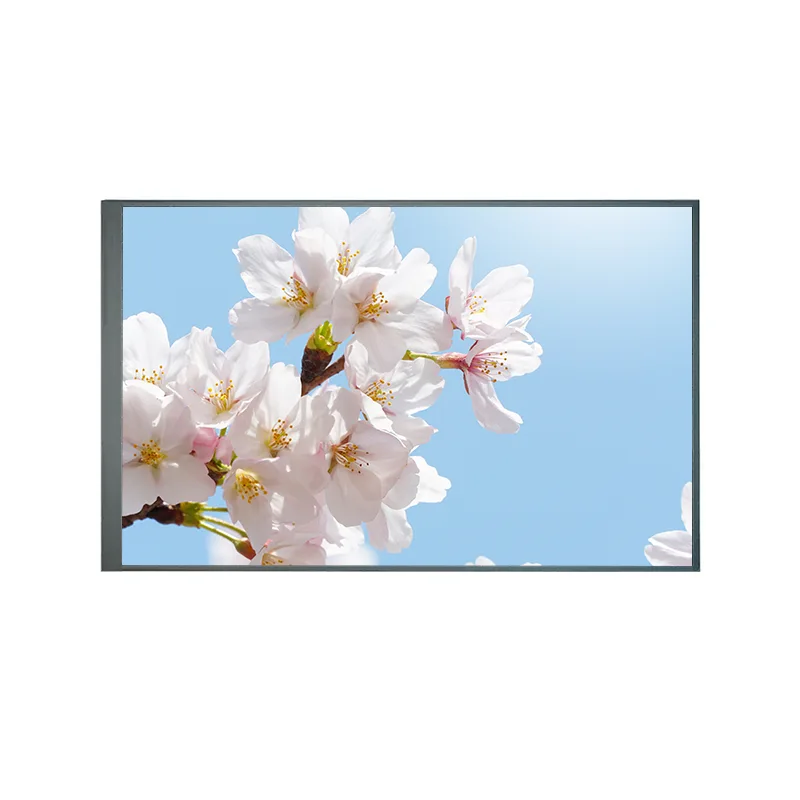 8.0英寸通常是反向IPS TFT LCD屏幕模块